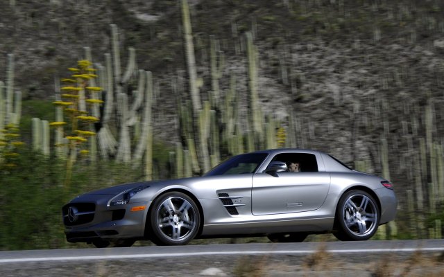 2011_SLS_AMG_Panamericana_2