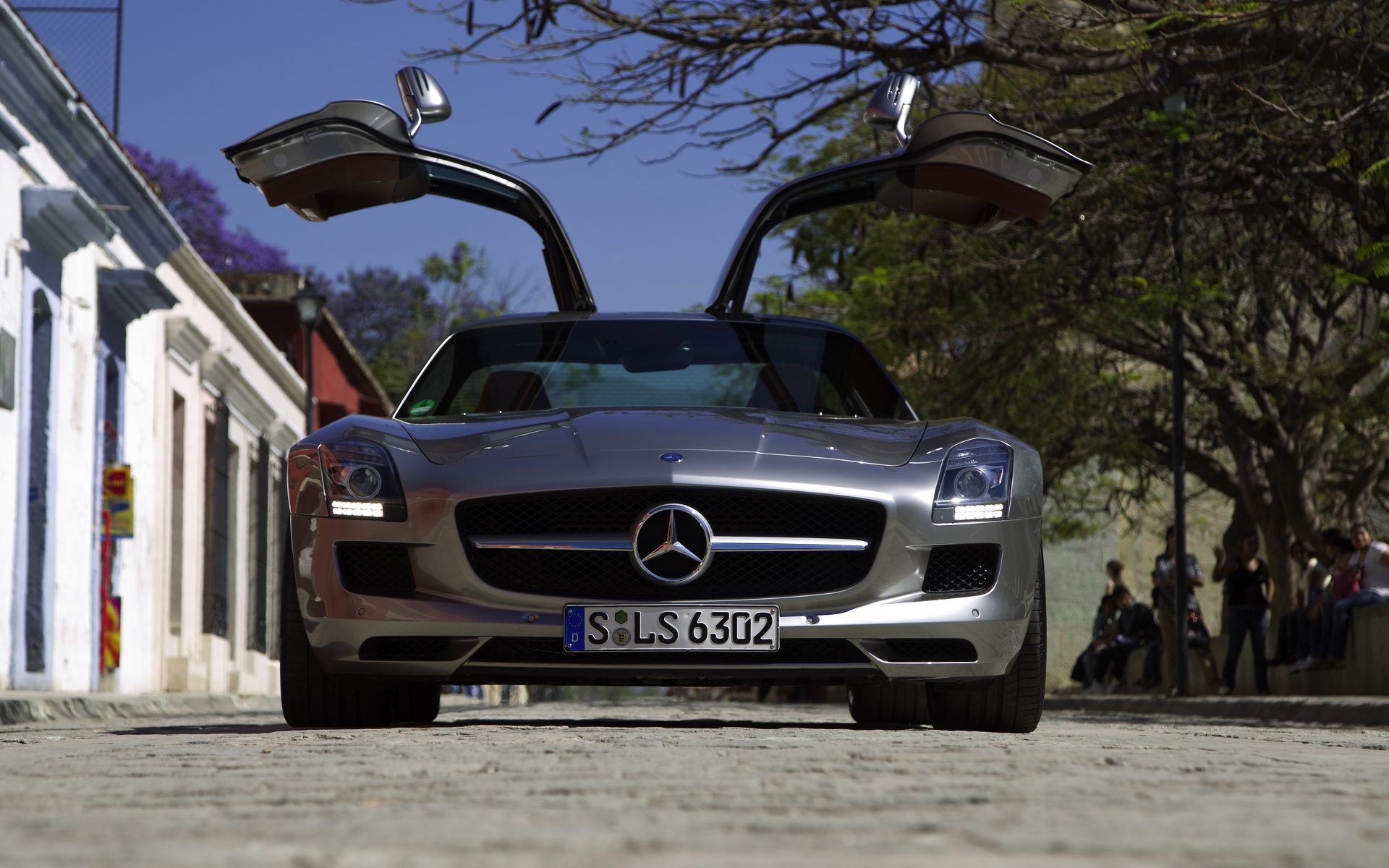 2011_SLS_AMG_Panamericana_3