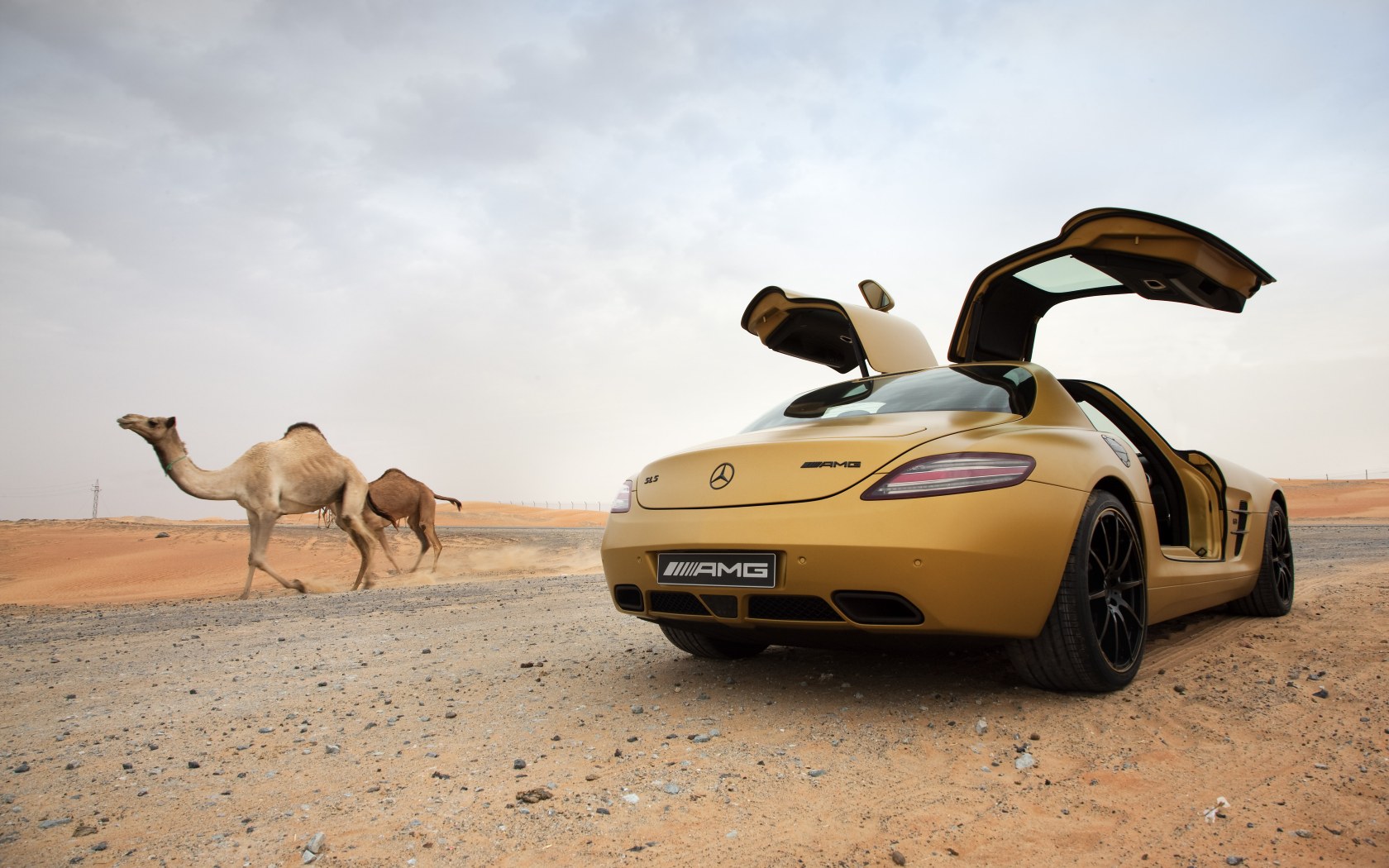 2010 SLS AMG Desert Gold 10